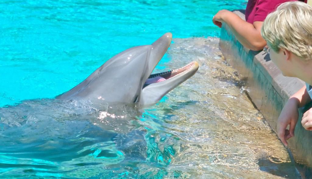 SeaWorld San Diego Discover The Beauty Go San Diego