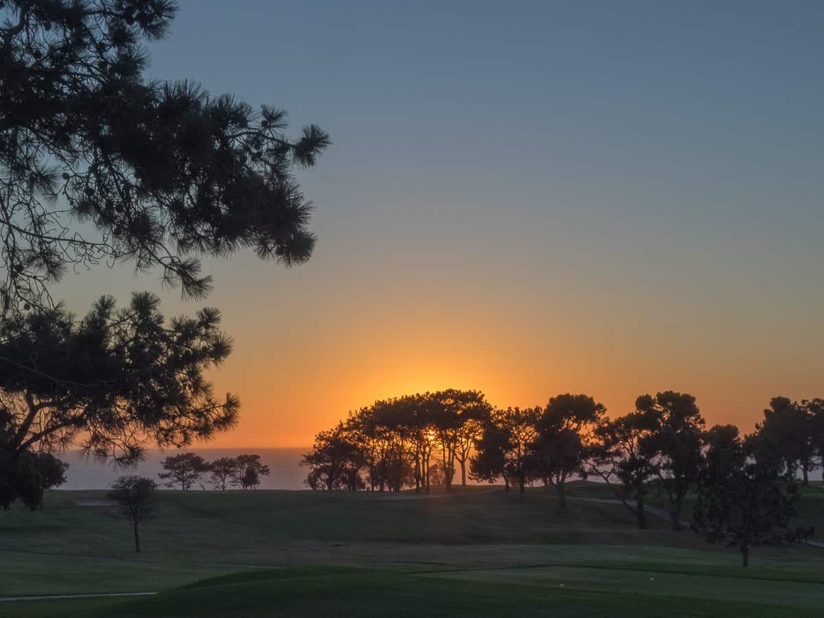 Golf course at Torrey Pines