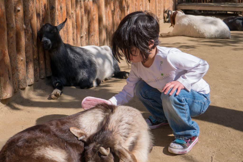 safari tour hansa park