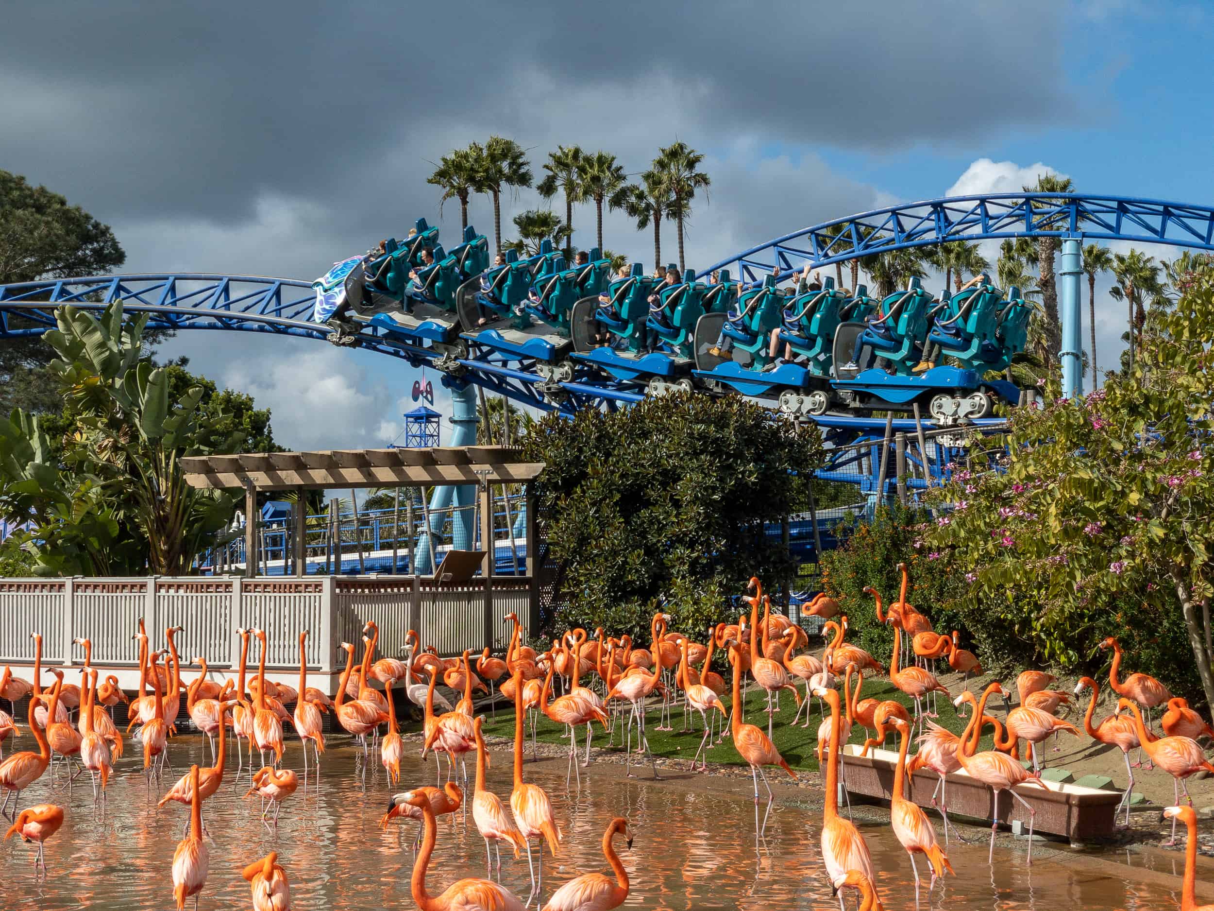 Amusement Park